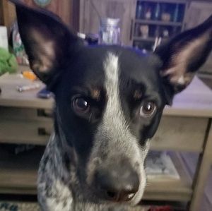 Meet your Posher, Trina